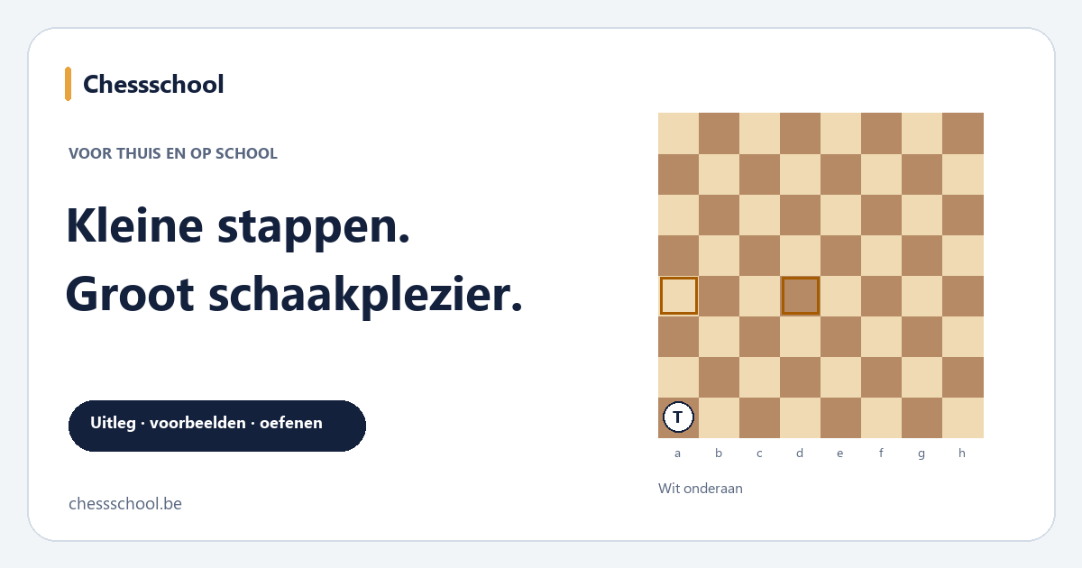 Kinderen leren schaken: Kleine stappen. Groot schaakplezier.